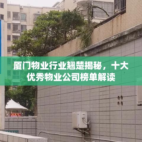 廈門物業(yè)行業(yè)翹楚揭秘，十大優(yōu)秀物業(yè)公司榜單解讀