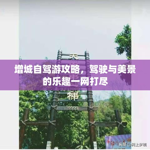 增城自駕游攻略，駕駛與美景的樂趣一網打盡