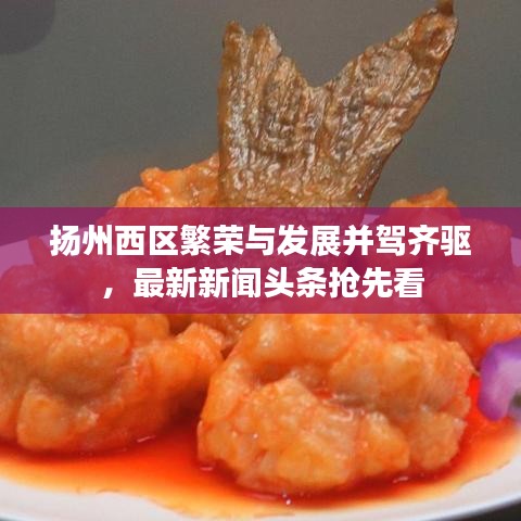 揚州西區(qū)繁榮與發(fā)展并駕齊驅，最新新聞頭條搶先看
