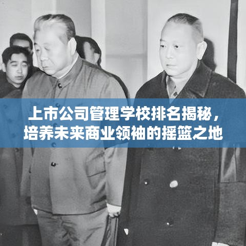 上市公司管理學(xué)校排名揭秘，培養(yǎng)未來商業(yè)領(lǐng)袖的搖籃之地