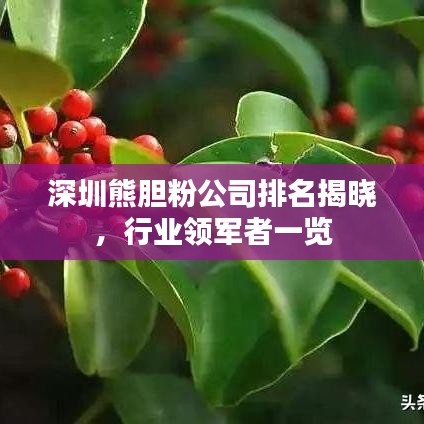 深圳熊膽粉公司排名揭曉，行業(yè)領(lǐng)軍者一覽