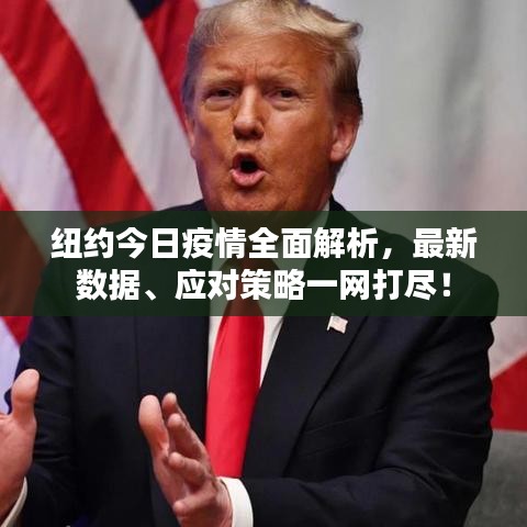 紐約今日疫情全面解析，最新數(shù)據(jù)、應(yīng)對(duì)策略一網(wǎng)打盡！