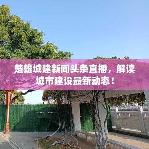 楚雄城建新聞?lì)^條直播，解讀城市建設(shè)最新動(dòng)態(tài)！