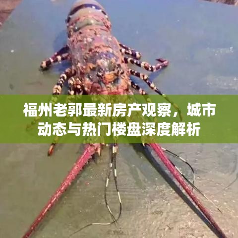 福州老郭最新房產(chǎn)觀察，城市動態(tài)與熱門樓盤深度解析