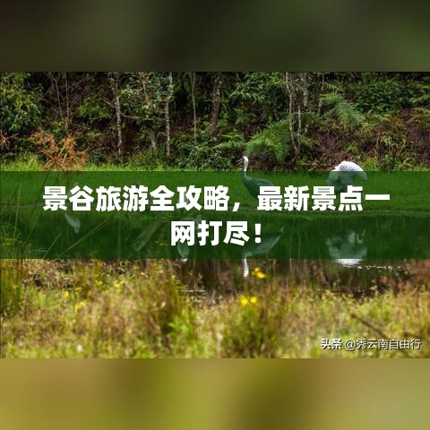 景谷旅游全攻略，最新景點一網(wǎng)打盡！