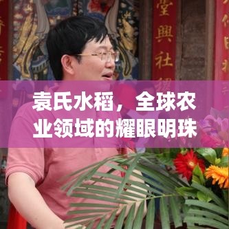 袁氏水稻，全球農(nóng)業(yè)領(lǐng)域的耀眼明珠