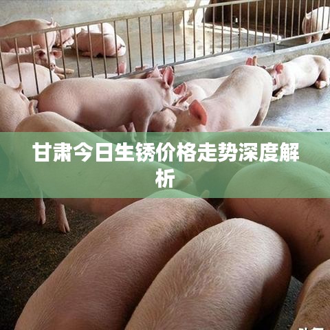 甘肅今日生銹價(jià)格走勢(shì)深度解析