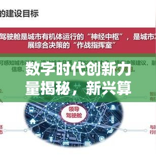 數字時代創(chuàng)新力量揭秘，新興算法公司權威排名榜單揭曉！