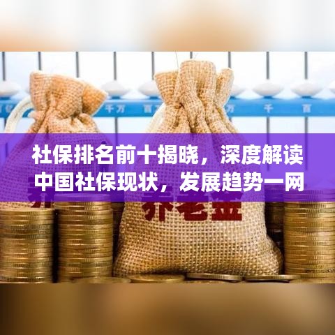 社保排名前十揭曉，深度解讀中國社?，F(xiàn)狀，發(fā)展趨勢一網(wǎng)打盡！