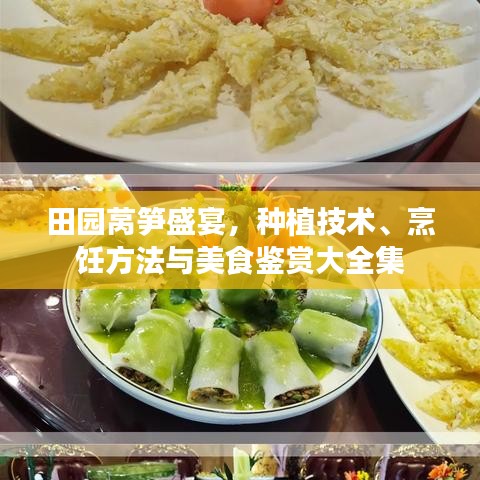 田園萵筍盛宴，種植技術(shù)、烹飪方法與美食鑒賞大全集