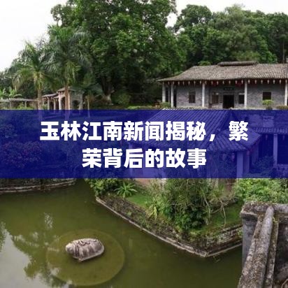 玉林江南新聞揭秘，繁榮背后的故事