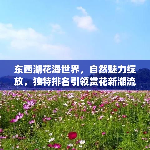 東西湖花海世界，自然魅力綻放，獨特排名引領(lǐng)賞花新潮流