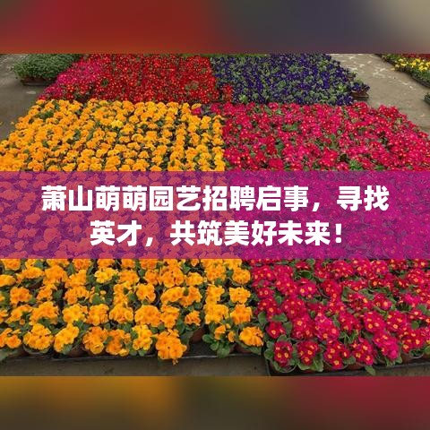 蕭山萌萌園藝招聘啟事，尋找英才，共筑美好未來！