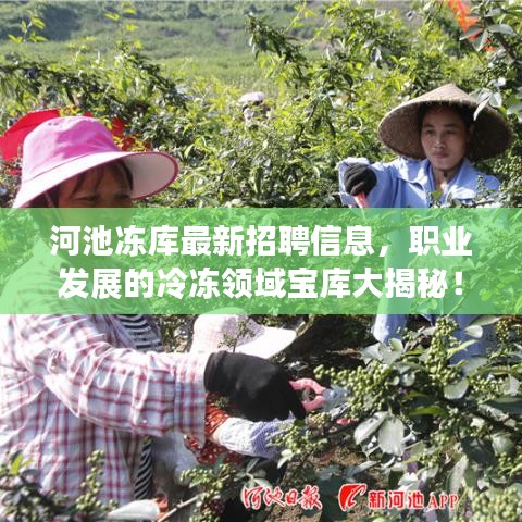 河池凍庫(kù)最新招聘信息，職業(yè)發(fā)展的冷凍領(lǐng)域?qū)殠?kù)大揭秘！