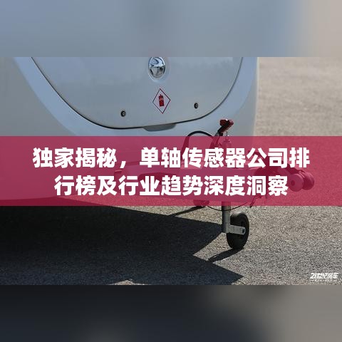 獨家揭秘，單軸傳感器公司排行榜及行業(yè)趨勢深度洞察