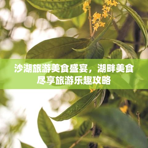 沙湖旅游美食盛宴，湖畔美食盡享旅游樂(lè)趣攻略