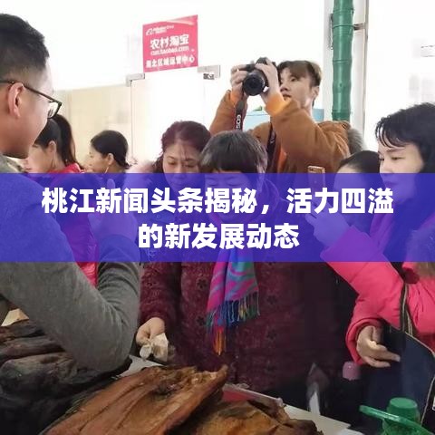 桃江新聞?lì)^條揭秘，活力四溢的新發(fā)展動(dòng)態(tài)
