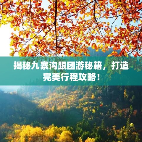 揭秘九寨溝跟團(tuán)游秘籍，打造完美行程攻略！