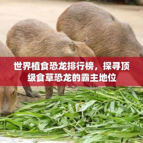 世界植食恐龍排行榜，探尋頂級(jí)食草恐龍的霸主地位