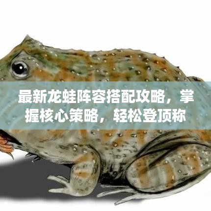最新龍蛙陣容搭配攻略，掌握核心策略，輕松登頂稱霸！
