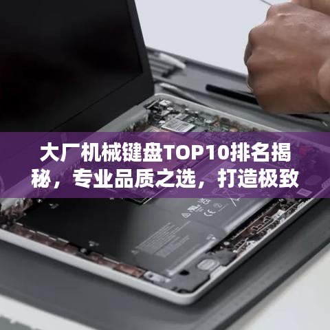 大廠機(jī)械鍵盤TOP10排名揭秘，專業(yè)品質(zhì)之選，打造極致體驗(yàn)