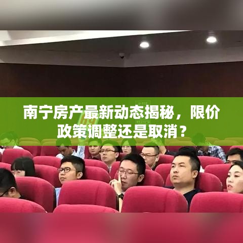 南寧房產(chǎn)最新動態(tài)揭秘，限價政策調(diào)整還是取消？
