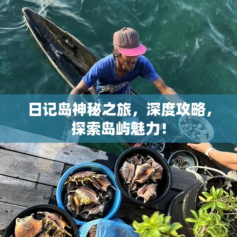 日記島神秘之旅，深度攻略，探索島嶼魅力！