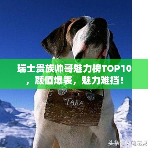 瑞士貴族帥哥魅力榜TOP10，顏值爆表，魅力難擋！