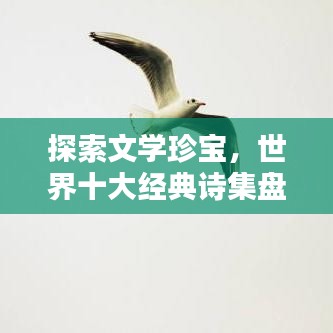 探索文學珍寶，世界十大經(jīng)典詩集盤點