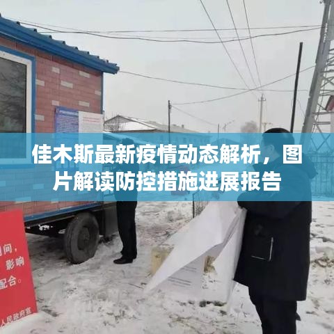佳木斯最新疫情動態(tài)解析，圖片解讀防控措施進展報告