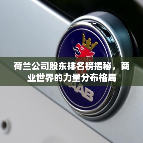 荷蘭公司股東排名榜揭秘，商業(yè)世界的力量分布格局