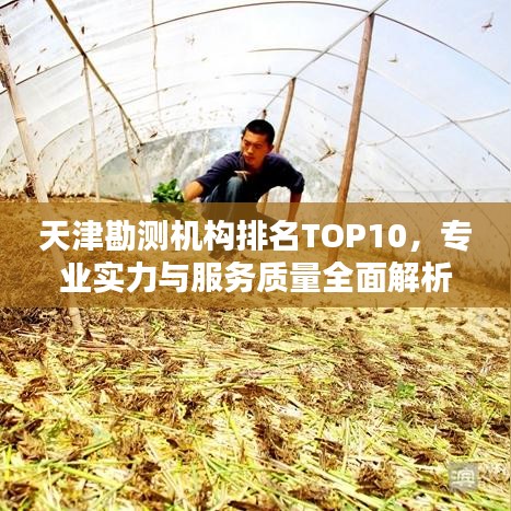 天津勘測(cè)機(jī)構(gòu)排名TOP10，專業(yè)實(shí)力與服務(wù)質(zhì)量全面解析