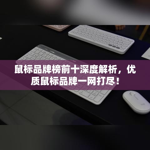 鼠標品牌榜前十深度解析，優(yōu)質鼠標品牌一網打盡！