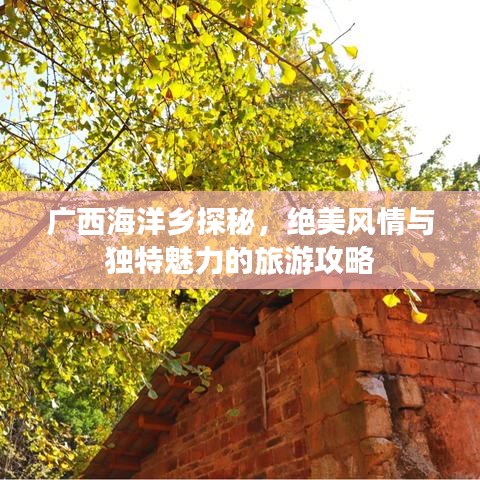 廣西海洋鄉(xiāng)探秘，絕美風(fēng)情與獨(dú)特魅力的旅游攻略