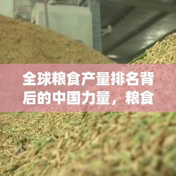 全球糧食產(chǎn)量排名背后的中國(guó)力量，糧食產(chǎn)業(yè)地位與未來(lái)展望