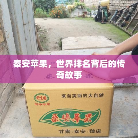 秦安蘋果，世界排名背后的傳奇故事