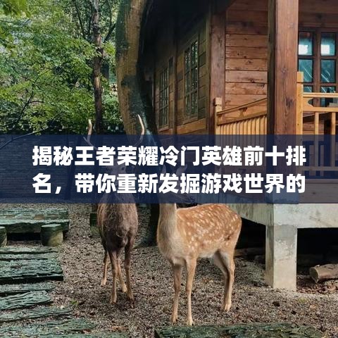 揭秘王者榮耀冷門英雄前十排名，帶你重新發(fā)掘游戲世界的隱藏寶藏！