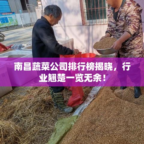 南昌蔬菜公司排行榜揭曉，行業(yè)翹楚一覽無余！