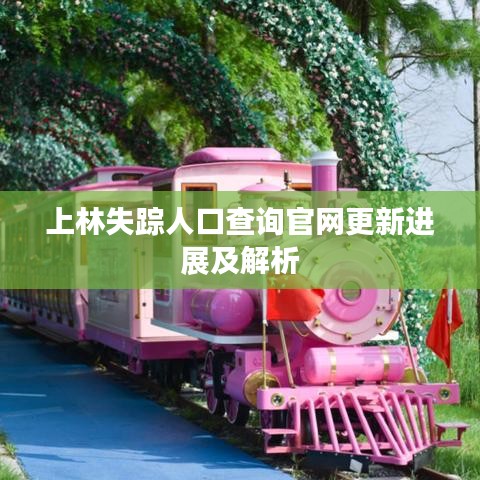 上林失蹤人口查詢官網(wǎng)更新進(jìn)展及解析
