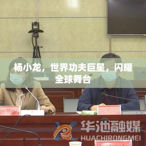 楊小龍，世界功夫巨星，閃耀全球舞臺