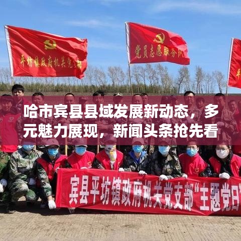 哈市賓縣縣域發(fā)展新動態(tài)，多元魅力展現(xiàn)，新聞頭條搶先看