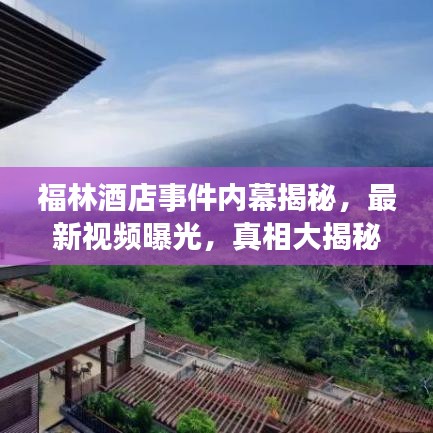 福林酒店事件內(nèi)幕揭秘，最新視頻曝光，真相大揭秘
