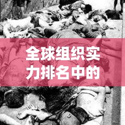 全球組織實力排名中的中國地位分析