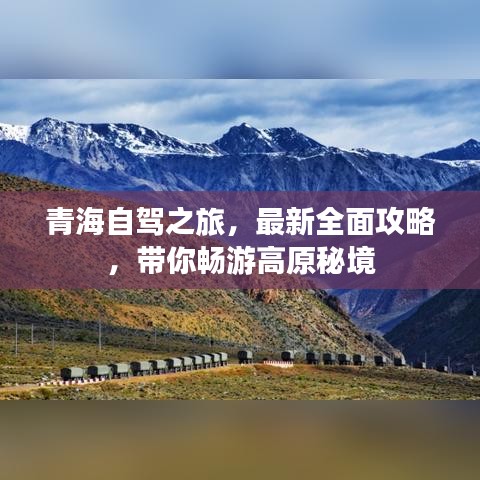 打張雞兒 第2頁(yè)
