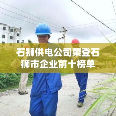 石獅供電公司榮登石獅市企業(yè)前十榜單