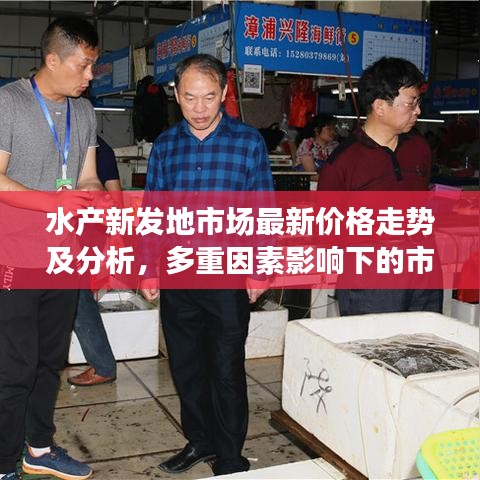 水產(chǎn)新發(fā)地市場(chǎng)最新價(jià)格走勢(shì)及分析，多重因素影響下的市場(chǎng)趨勢(shì)解析