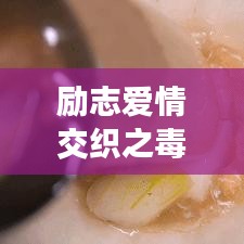 勵志愛情交織之毒雞湯語錄觸動心靈深處