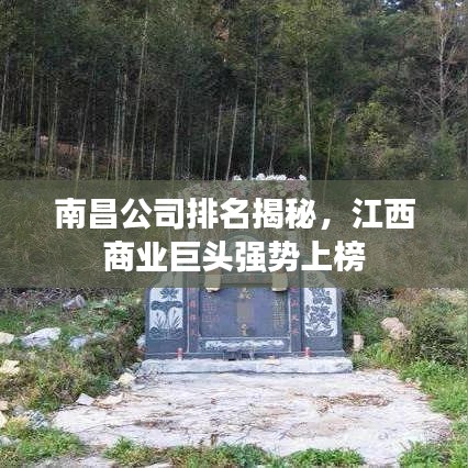 南昌公司排名揭秘，江西商業(yè)巨頭強(qiáng)勢(shì)上榜