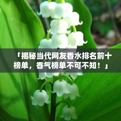 「揭秘當(dāng)代網(wǎng)友香水排名前十榜單，香氣榜單不可不知！」