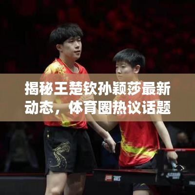 揭秘王楚欽孫穎莎最新動(dòng)態(tài)，體育圈熱議話(huà)題重磅來(lái)襲！